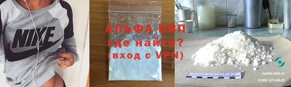 PSILOCYBIN Белокуриха