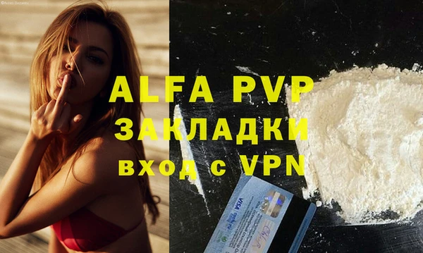 PSILOCYBIN Белокуриха