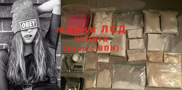 PSILOCYBIN Белокуриха