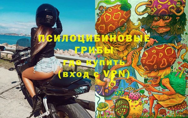 бошки Белоозёрский