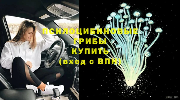 Альфа ПВП Беломорск