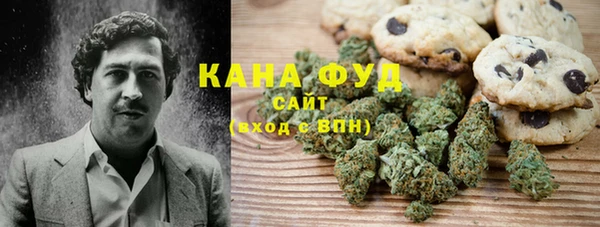 PSILOCYBIN Белокуриха