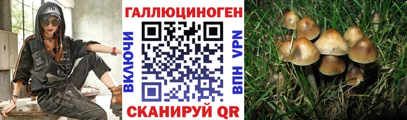 Купить где  Бузулук  Псилоцибиновые грибы ЛСД 